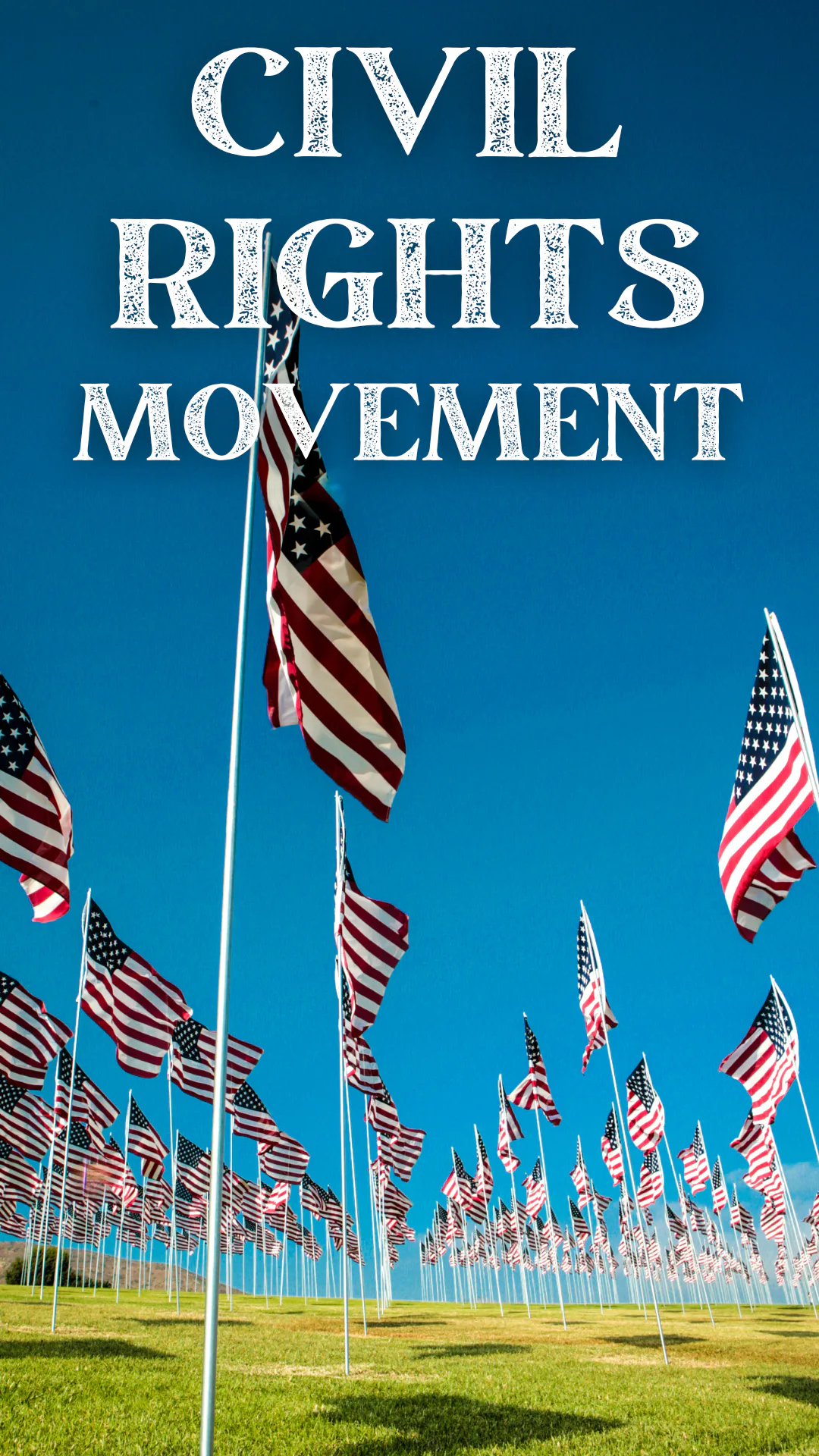 U. S. History Civil Rights STAAR 