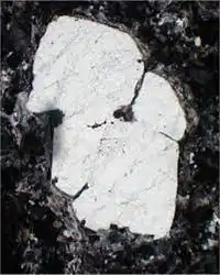 Media Image