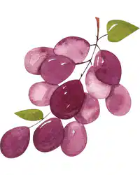 Media Image