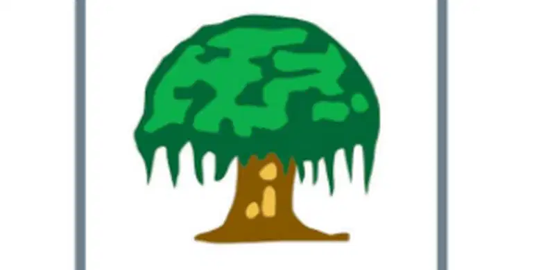 Media Image