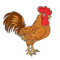 Media Image