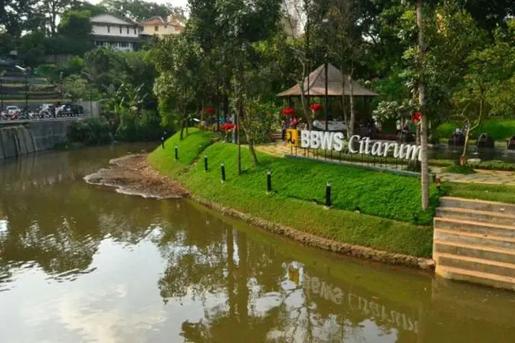 Media Image