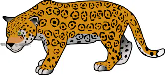 Media Image