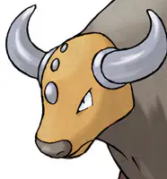 Media Image