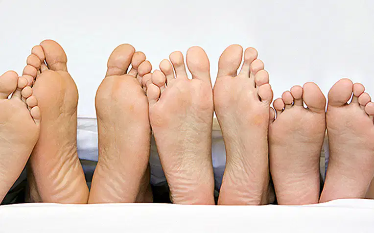 Media Image