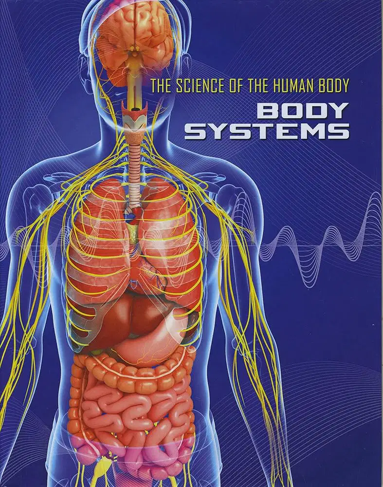 Body Systems Part 1 - Assessment