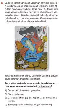 Media Image