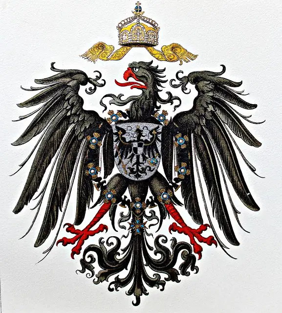 Media Image