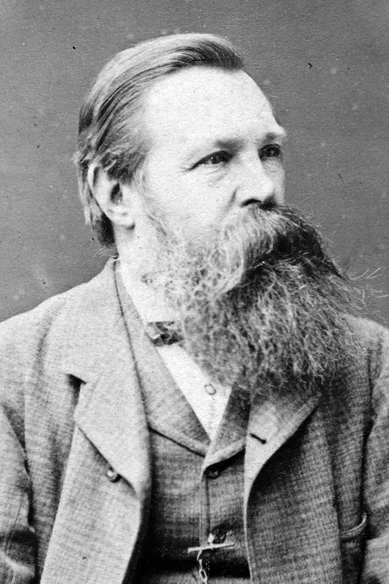 Media Image