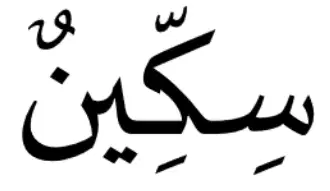 Media Image
