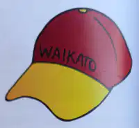 Media Image