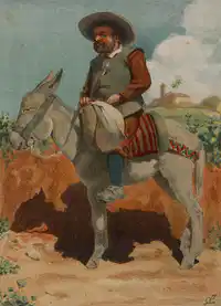 Media Image