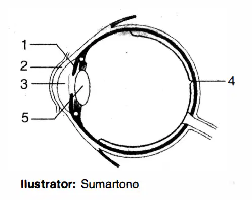 Question image