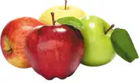 Media Image