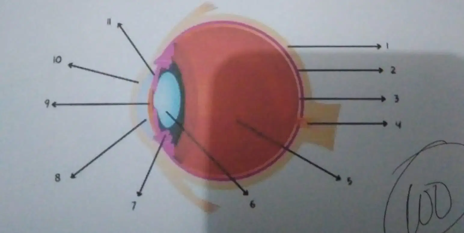 media image