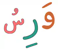 Media Image