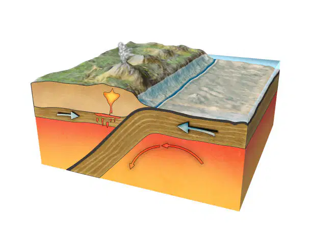 Media Image