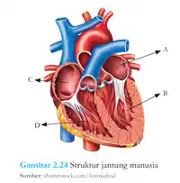 Media Image