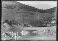Media Image