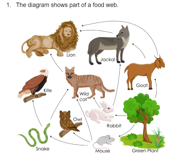 Question image