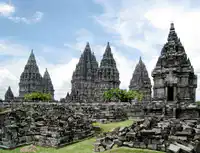 Media Image