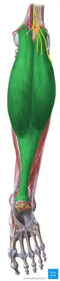Media Image