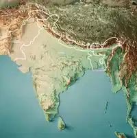 media