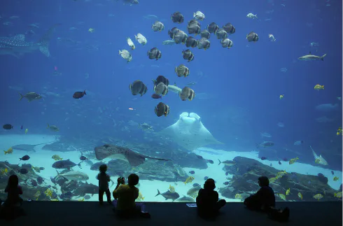 Unit 1- Plant and animal defenses