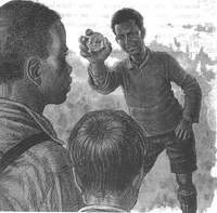 Media Image