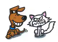 Media Image