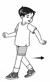 Media Image