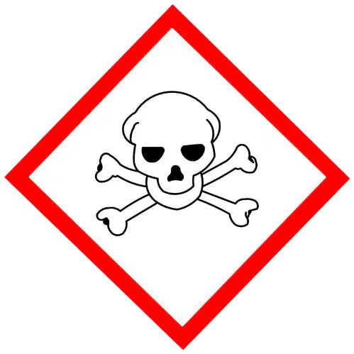 Media Image
