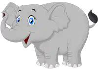 Media Image