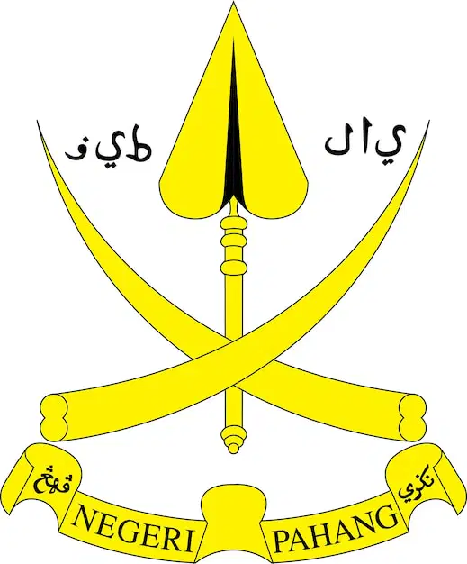 Media Image