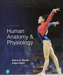 Human Anatomy & Physiology  Chapter  2 – Basic Chemistry Review 