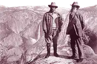 Media Image