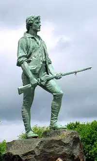 Media Image