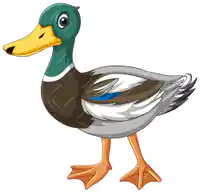 Media Image