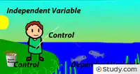 variables dependientes Tarjetas didácticas - Quizizz