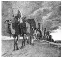 Media Image