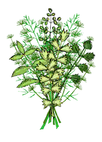 Media Image