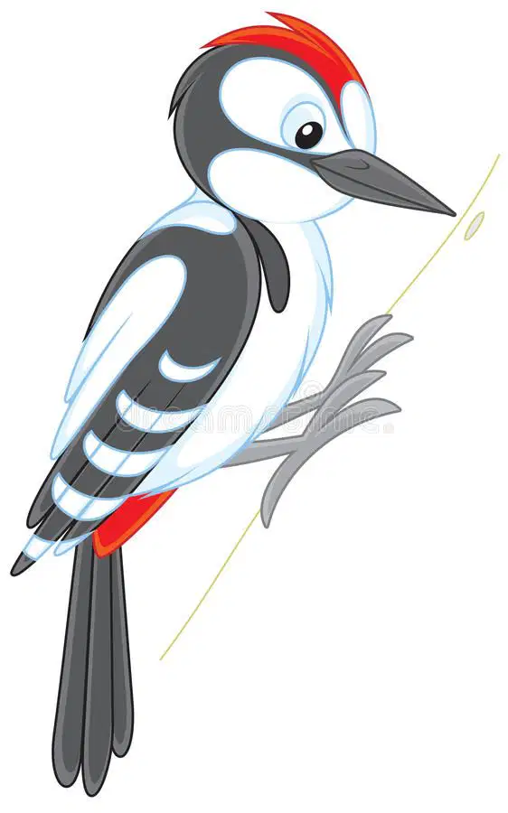 Media Image