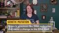 Exploring Evolution and Speciation - Lesson Plan 6th - 9th Grade Video ...