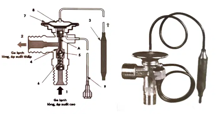 media image