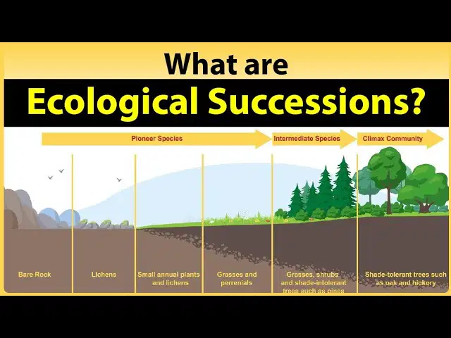 6th T4L2 Succession Review