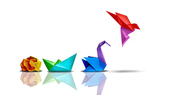 Transformations Review