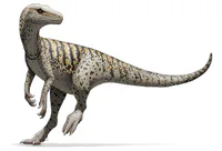 Media Image