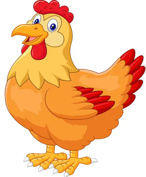 Media Image