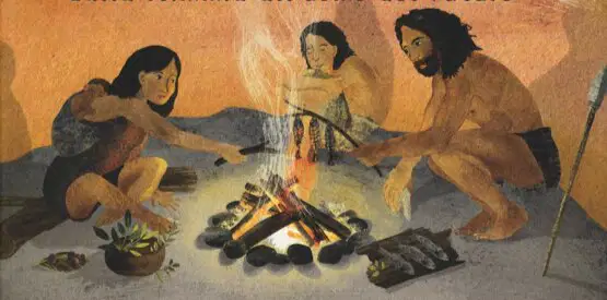 Media Image