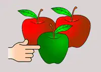 Media Image